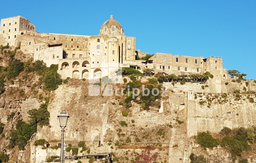 Tour a Ischia un giorno