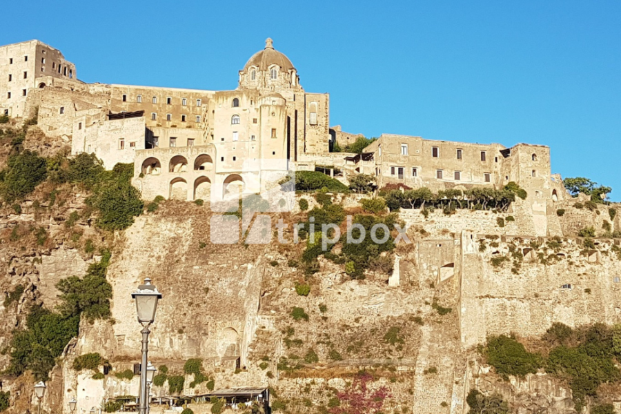 Tour a Ischia un giorno